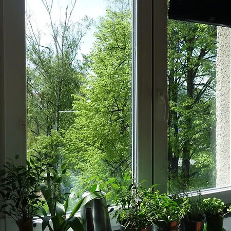 Solaris Apartment