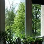 Solaris Lägenhet